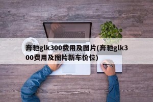 奔驰glk300费用及图片(奔驰glk300费用及图片新车价位)