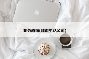 业务越南(越南电话公司)