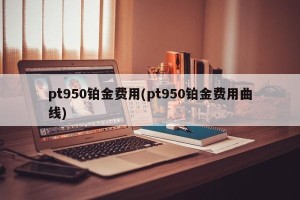 pt950铂金费用(pt950铂金费用曲线)