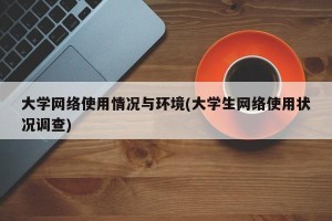 大学网络使用情况与环境(大学生网络使用状况调查)