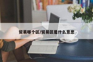 贸易哪个区/贸易区是什么意思