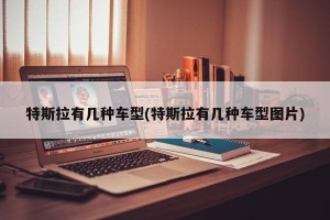 特斯拉有几种车型(特斯拉有几种车型图片)