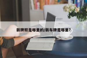 新牌照是哪里的/新车牌是哪里?