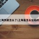 上海到底怎么了/上海是怎么沦陷的?