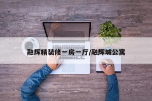 融辉精装修一房一厅/融辉城公寓