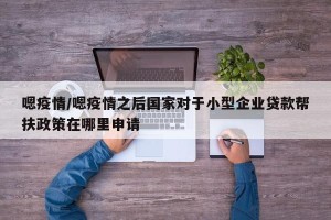 嗯疫情/嗯疫情之后国家对于小型企业贷款帮扶政策在哪里申请